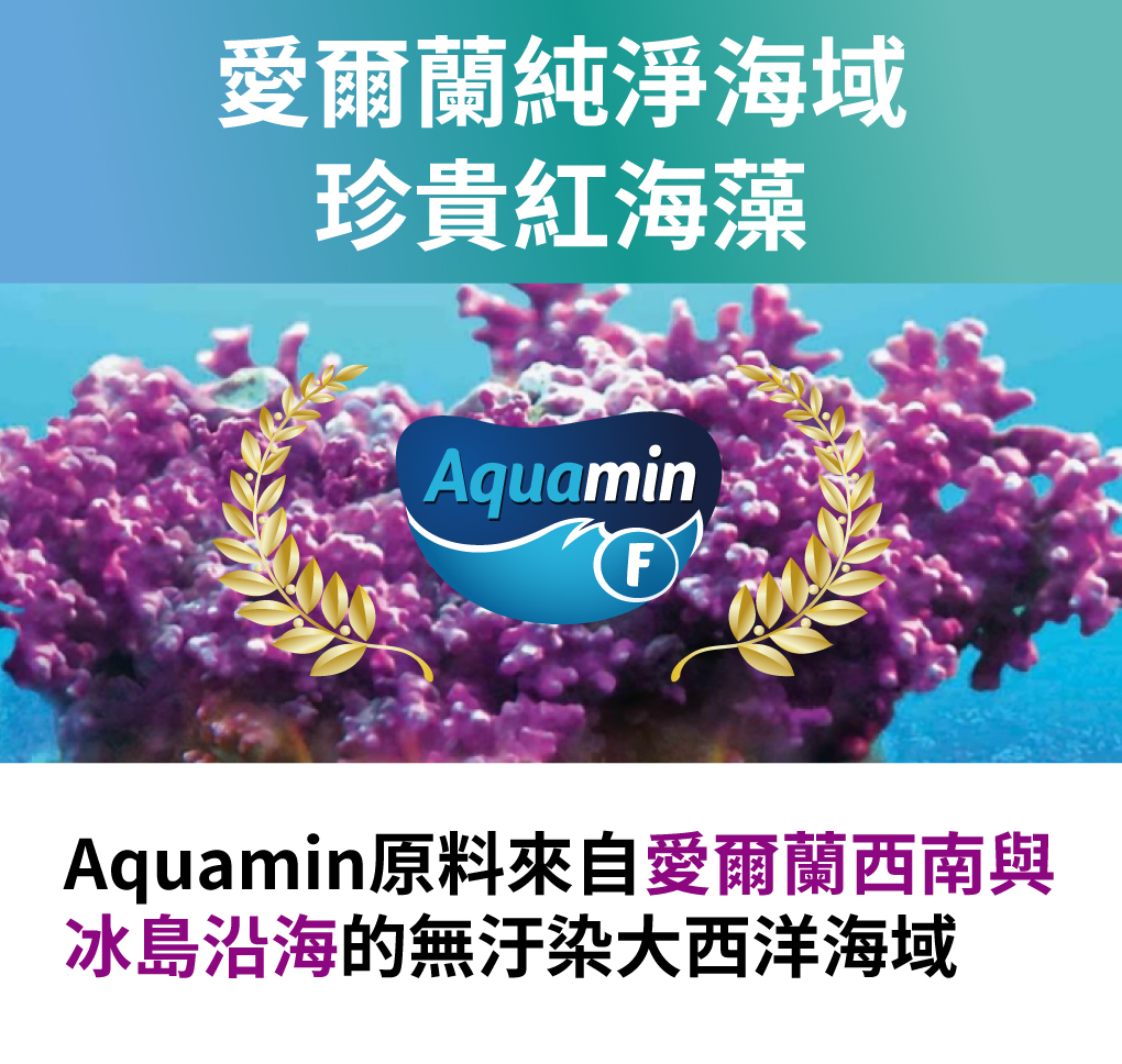 高登鈣含多豐富研物質,天然鹼性、專利歐盟認證